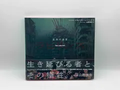 シモン・ストーレンハーグ 画集 4冊セット 2025年最新】シモンストーレンハーグの人気アイテム - メルカリ