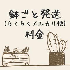 3XUUNgGSBGjzQBsBgxfsQU.png@jpg