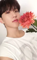 【中古】コレクションカード(男性) SEVENTEEN/ホシ(HOSHI)/CD「17 IS RIGHT HERE」(-DEAR Ver.-)封入ランダムフォトカード