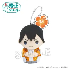 ハイキュー!! 指の上　及川徹・影山飛雄 2025年最新】ハイキュー!! 指の上シリーズ ハイキュー!! 影山飛