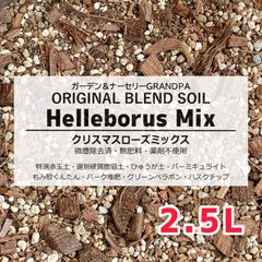 SALEさん専用　パールアカシア/ 593 パールアカシア 2m級 /319 - メルカリ