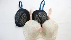 【２枚セット ワコール　マタニティ 産前産後用 LOUANORE ルアノ－ル キレイにみえてやさしいブラ　ワイヤーあり　ブラジャー Wacoal E65 型番：MBY295MBY591 カラー：GB/CR】