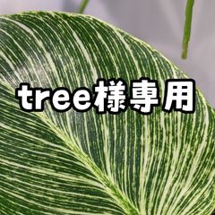 tree様専用ページ(*^^*)