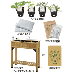 はじめる菜園セット　料理におすすめハーブ苗