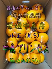【貯蔵完熟】　中島プリンセス　小玉　箱込み約5Kg.