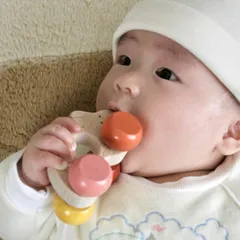スベスベの手触りが心地良いうさぎの車 (赤ちゃんに優しい木のおもちゃ) 日本グッド・トイ受賞おもちゃ 歯がため おしゃぶり ラトル 木のおもちゃ 知育玩具 車 ランキング 赤ちゃん ベビー ガラガラ カタカタ 0歳 1歳 1歳半 2歳 男の子 女の子 ギフト