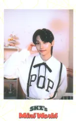 StrayKids MINI WORLD FELIX 2023 Seasons Greeting 白/POB
