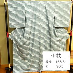 トールサイズ 紗 夏着物 小紋 洗える着物 縦ぼかし 紬風 単衣