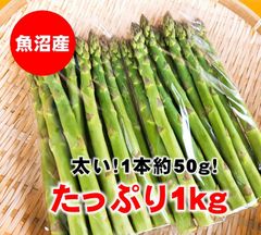【津南産】1kg/産地直送アスパラガス
