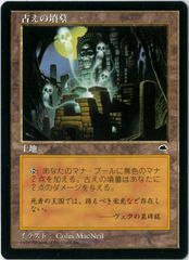 未使用/ヴァイスシュヴァルツ/「最強」を目指して ジャングル