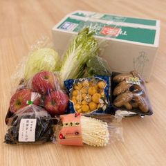 Re-MeNT ぷちサンプル 産地直送もぎたてパック 京野菜 りんご いか 