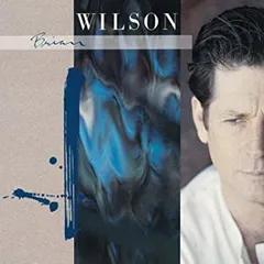 Brian Wilsonブライアンウィルソン 1966公式フィギュア特別ケース付 Brian Wilsonブライアンウィルソン 1966公式フィギュア特別