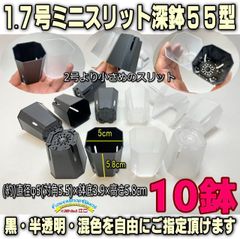 〇平日＊日中注文即日発送-1.7号ミニスリット深鉢55型★高機能ミニプラ鉢(直径φ5(対角5.5))：黒・半透明(クリアー)・混色10鉢セット※1回限り＊多肉植物・塊根植物コーデックス・アガベ・アデニウム・ハオルチア・パキポディウム・実生＠フラワーショップ江口
