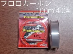 フロロカーボンライン,100m巻,4.0#
