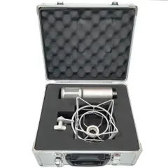 2025年最新】se electronics se2200の人気アイテム - メルカリ