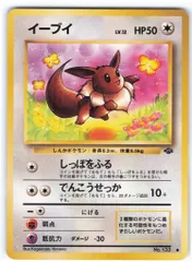 6枚 イーブイ 進化 ポケモンカード 未使用 美品 旧裏面 ブイズ Yahoo!オークション - イーブイ LV.14 旧裏面 ポケモンカード 未