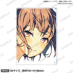 バンドリ 信澤収展 奥沢美咲 アクリルパネル ハロハピ アクスタ - メルカリ