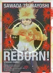【中古】クリアファイル 沢田綱吉 A5ミニクリアファイル 「一番くじV+ 家庭教師ヒットマンREBORN! ver.1.5」