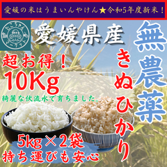 無農薬栽培　令和5年度　新米【玄米・白米選べます】愛媛県産　お米　きぬひかり　10kg　農薬不使用