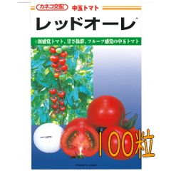 カネコ種苗　レッドオーレ　トマト　１００粒