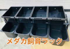 希少】メダカ飼育容器 NV BOX NVボックス 13 10個セット ブラック