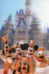 【中古】ポストカード 集合(実写) 3Dポストカード 「東京ディズニーリゾート30周年 ザ・ハピネス・イヤー」 東京ディズニーリゾート限定