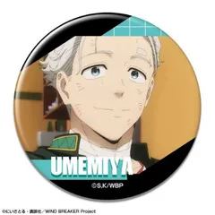 【新品・公式】WIND BREAKER 缶バッジ デザイン21(梅宮一/E) 公式グッズ colleize