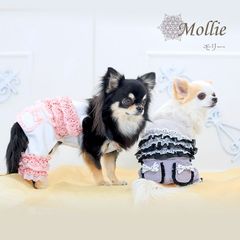 Glamourism　グラマーイズム　モリー