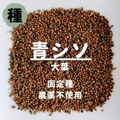 【種】青じそ　大葉　農薬不使用　600粒