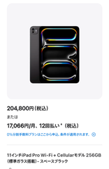 iPad Pro 11インチ M4 Wi-Fi ＋ Cellular 256GB