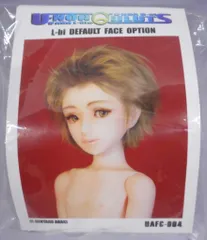 荒木元太郎　ユノア少年 Unoa boy「ヴィエル・B-el」　未組立て品 ユノア1/6計画」とは 錬金術工房の荒木元太郎が制作、原型制作