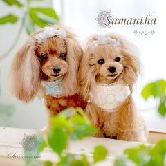 Glamourism　グラマーイズム　サマンサ