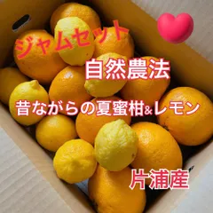 農園直送】 完全無農薬丹波産コシヒカリノーワックスジューシー甘夏 農園直送】 完全無農薬丹波産コシヒカリノーワックスジューシー甘夏