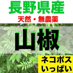 山椒の葉 600枚 新鮮 農薬不使用　天然物 楽天市場】5月から7月葉があります無農薬栽培葉山椒 鉢植え 山椒