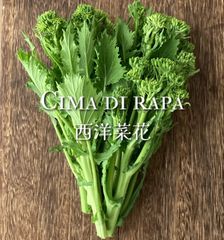 富山県産 チーマ・ディ・ラーパ 西洋菜花 約800g