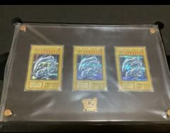 海馬セット 青眼の白龍 シークレット 3枚 ディスプレイ付き シクブル
