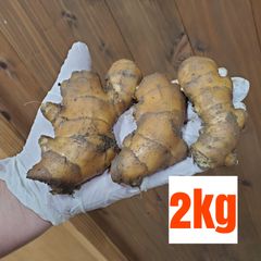 小ぶりこま割れ土付き囲い生姜2kg