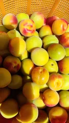 ミナミナ様　谷沢梅大玉完熟梅10キロ　クール便送料込み ミナミナ様谷沢梅大玉完熟梅10キロクール便送料込み