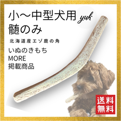 【クーポン発行中】小~中型犬用　髄のみ　パピーも大丈夫　北海道産エゾ鹿の角　犬のおもちゃ　鹿の骨　C