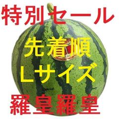 6先着順・売り切れたらごめんなさい！羅皇