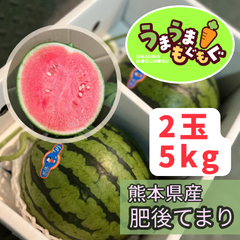 【数量限定品】熊本県産　肥後てまり　5kg（2玉） 西瓜　スイカ　すいか　ひごてまり