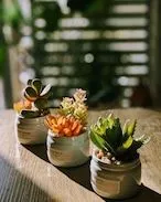 【CT触媒】3個セット消臭アーティフィシャルグリーン