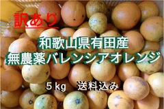 2025年最新】バレンシアオレンジの人気アイテム - メルカリ