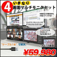 いきなり4画面マルチモニタセット USB1本で接続完了 らくらく複数画面　モニターアームでデスクすっきり 24インチ液晶の大画面 中古良品