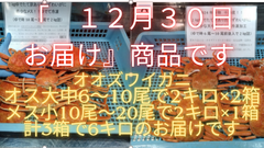 【12月30日お届け】オス大中6尾から10尾前後入2キロ2箱で4キロとメス小10尾から20尾前後入で2キロで計6キロ
