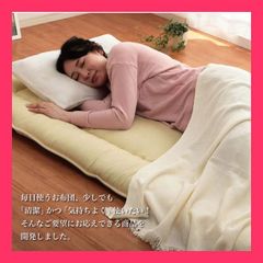 エルゴスリープ 2.5 腰痛対策敷布団 シングル 中古 通販生活 カタログ