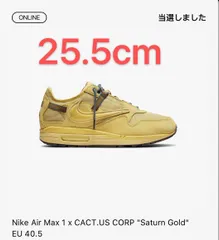 Travis Scott × Nike Air Max 1