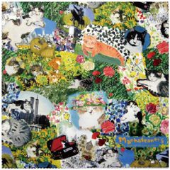 Item thumbnail for item 78cd11eb-1fbd-46ff-ad17-d4ab016437f9