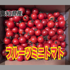 高知県産 フルーツミニトマト  1kg × 3ケース     　 ★9