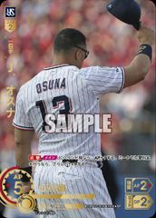 Item thumbnail for item ca539f71-c616-4173-968a-56ba76ddf39a